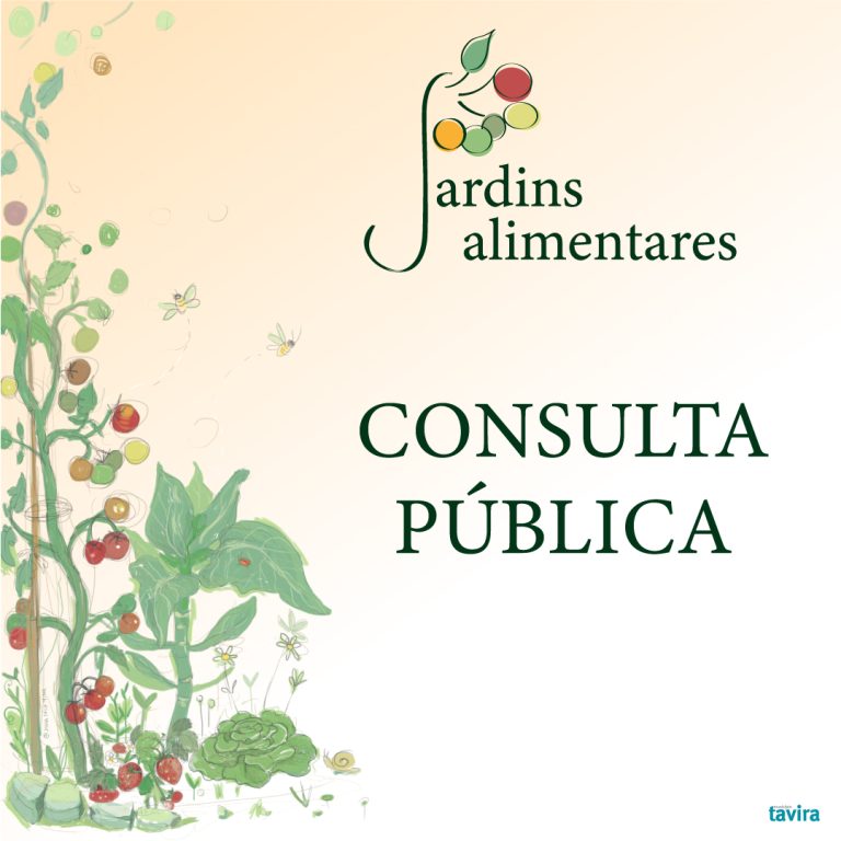 Community garden – regulations consultation Tavira
